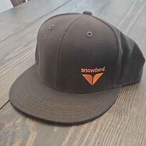 Snowbird Black Baseball Cap
